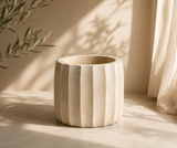 Bali Scallop Suar Wood Pot | 2 Sizes & Set