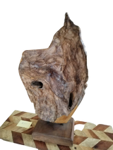 Teak Root on Stand | 2 Sizes Available