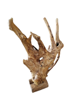 Teak Root on Stand | 2 Sizes Available