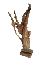 Teak Root on Stand | 2 Sizes Available