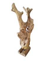 Teak Root on Stand | 2 Sizes Available