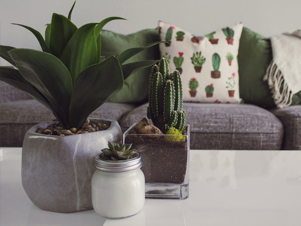 In Time for Earth Day: How To Make Your Home Décor Earth-Friendly