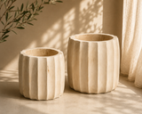 Bali Scallop Suar Wood Pot | 2 Sizes & Set