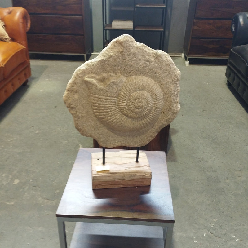 Caracol Ammonite on Stand | 53x40x16 cm