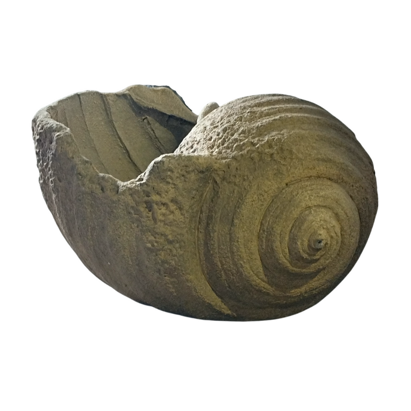 Planter Shell | Decor Shell | 34x50x27 cm