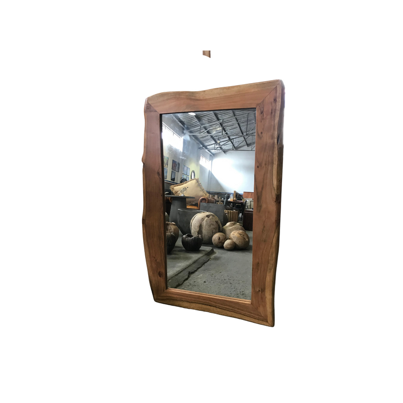 Mirror Frons | 64x115x28 cm