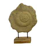Antique polyresin ammonite sculpture on a wooden stand for hotels, Airbnb properties, furnished apartments, offices, and contemporary interiors.